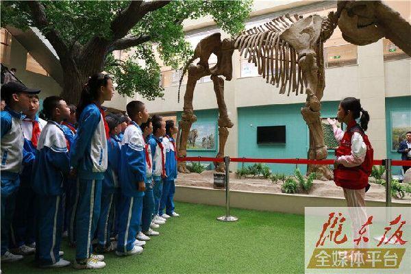 【第一眼】慶陽市博物館開展多項活動慶?！?·18國際博物館日”