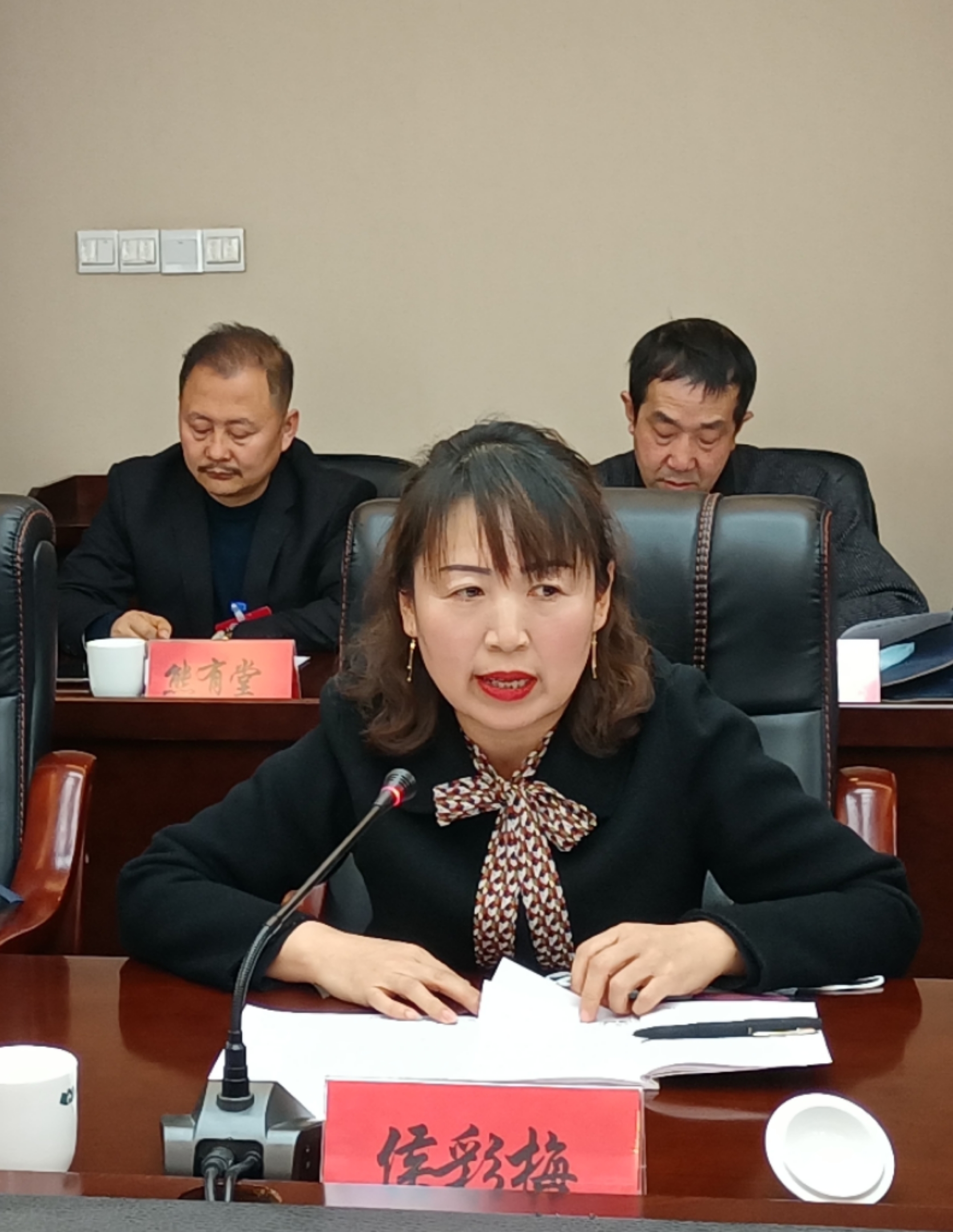 侯彩梅委員在討論發(fā)言時就規(guī)范農(nóng)村中小學(xué)體育教學(xué)提出了建議。