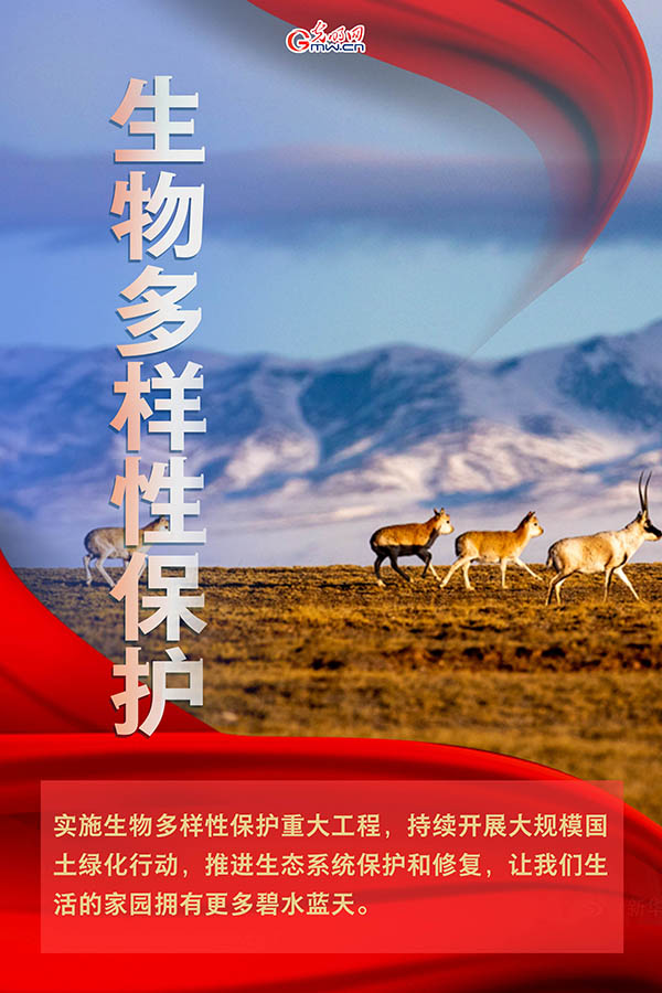 海報(bào)| 2021年政府工作報(bào)告，提到這些生態(tài)環(huán)保關(guān)鍵詞
