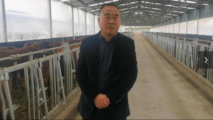 【脫貧攻堅我來見證】項祖地：讓“早勝?！逼放谱叱龈拭C  走向全國