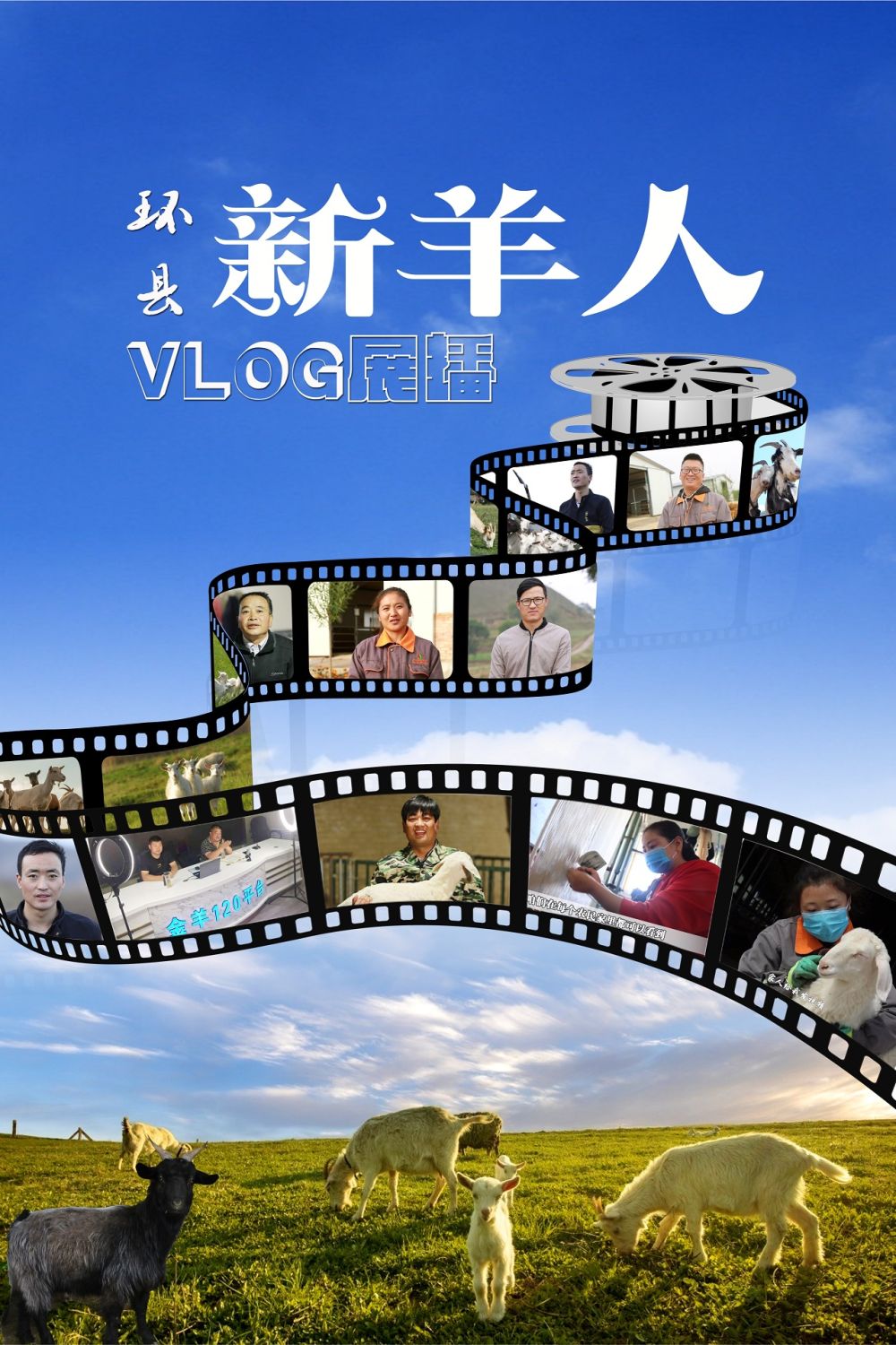【環(huán)縣“新羊人”VLOG展播】“大學(xué)生養(yǎng)羊”殷亞運