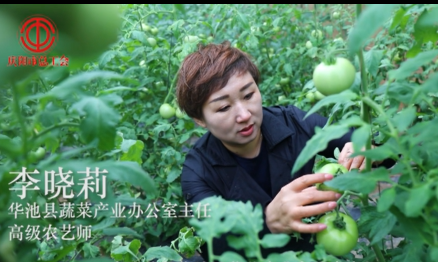 高級(jí)農(nóng)藝師:李曉莉