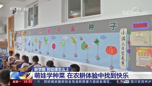 新學(xué)期，勞動(dòng)課怎么上？央視《新聞直播間》關(guān)注北師大慶陽(yáng)附校農(nóng)耕體驗(yàn)課