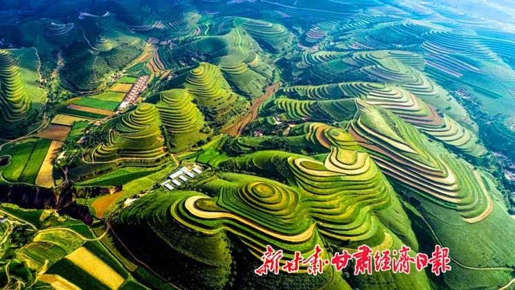 “羊”名立萬正當(dāng)時——環(huán)縣念羊經(jīng)、興羊業(yè)、發(fā)羊財促進(jìn)鄉(xiāng)村振興發(fā)展