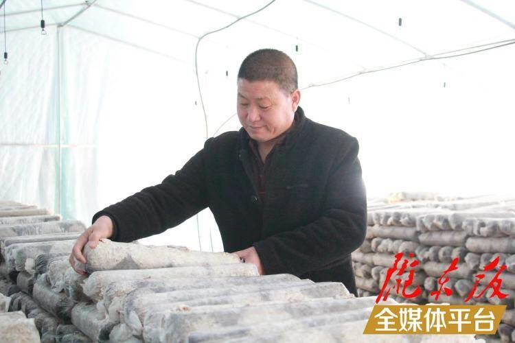 西峰區(qū)后官寨鎮(zhèn)司官寨村食用菌基地，工作人員在整理菌棒。本報(bào)記者 南力 攝