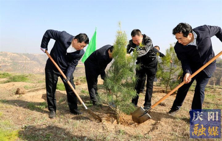 慶陽市2023年市級機(jī)關(guān)義務(wù)植樹活動在慶城縣舉行