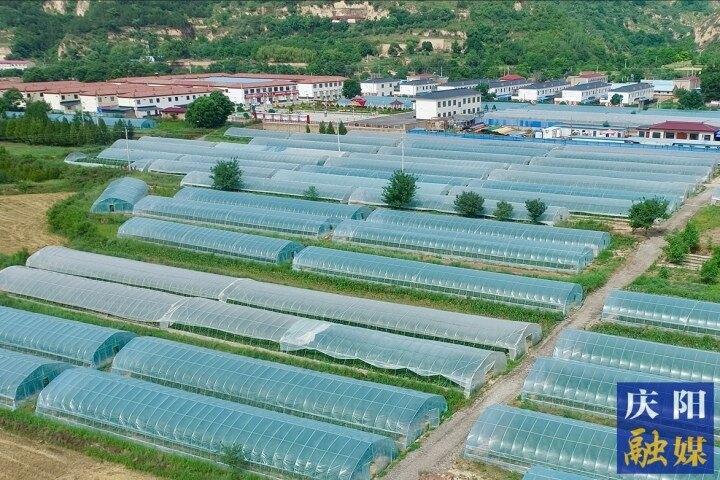 搶抓機(jī)遇再出發(fā) 錨定目標(biāo)不放松 ——慶城縣推動縣域經(jīng)濟(jì)高質(zhì)量發(fā)展紀(jì)實