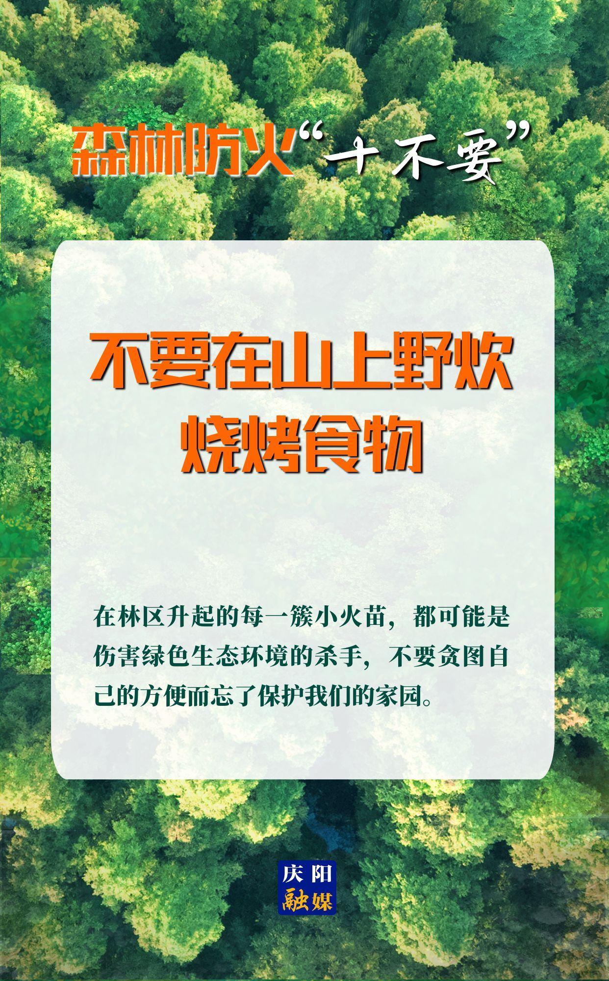 【微海報(bào)】森林防火“十不要”③丨不要在山上野炊、燒烤食物