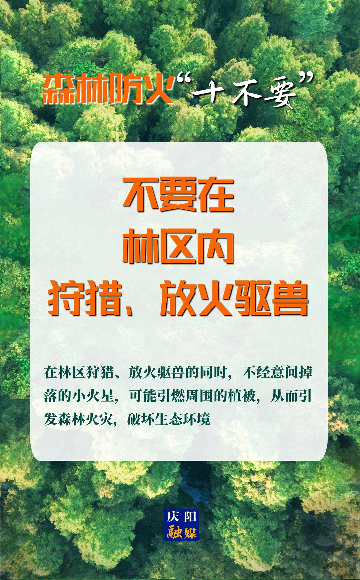 【微海報】森林防火“十不要”⑨丨不要在林區(qū)內(nèi)狩獵、放火驅獸