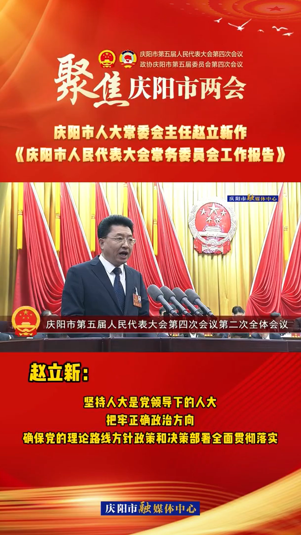 兩會V視(28)丨趙立新：堅持人大是黨領導下的人大，把牢正確政治方向，確保黨的理論路線方針政策和決策部署全面貫徹落實