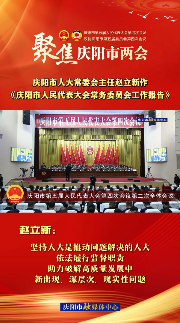 兩會V視(29)丨趙立新：堅持人大是推動問題解決的人大，依法履行監(jiān)督職責，助力破解高質量發(fā)展中新出現(xiàn)、深層次、現(xiàn)實性問題