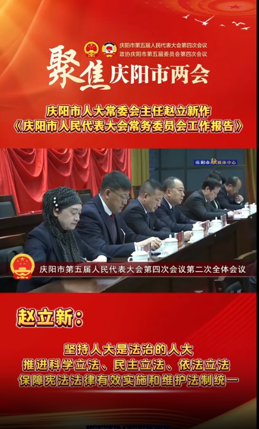 兩會V視(30)丨趙立新：堅持人大是法治的人大，推進科學立法、民主立法、依法立法，保障憲法法律有效實施和維護法制統(tǒng)一