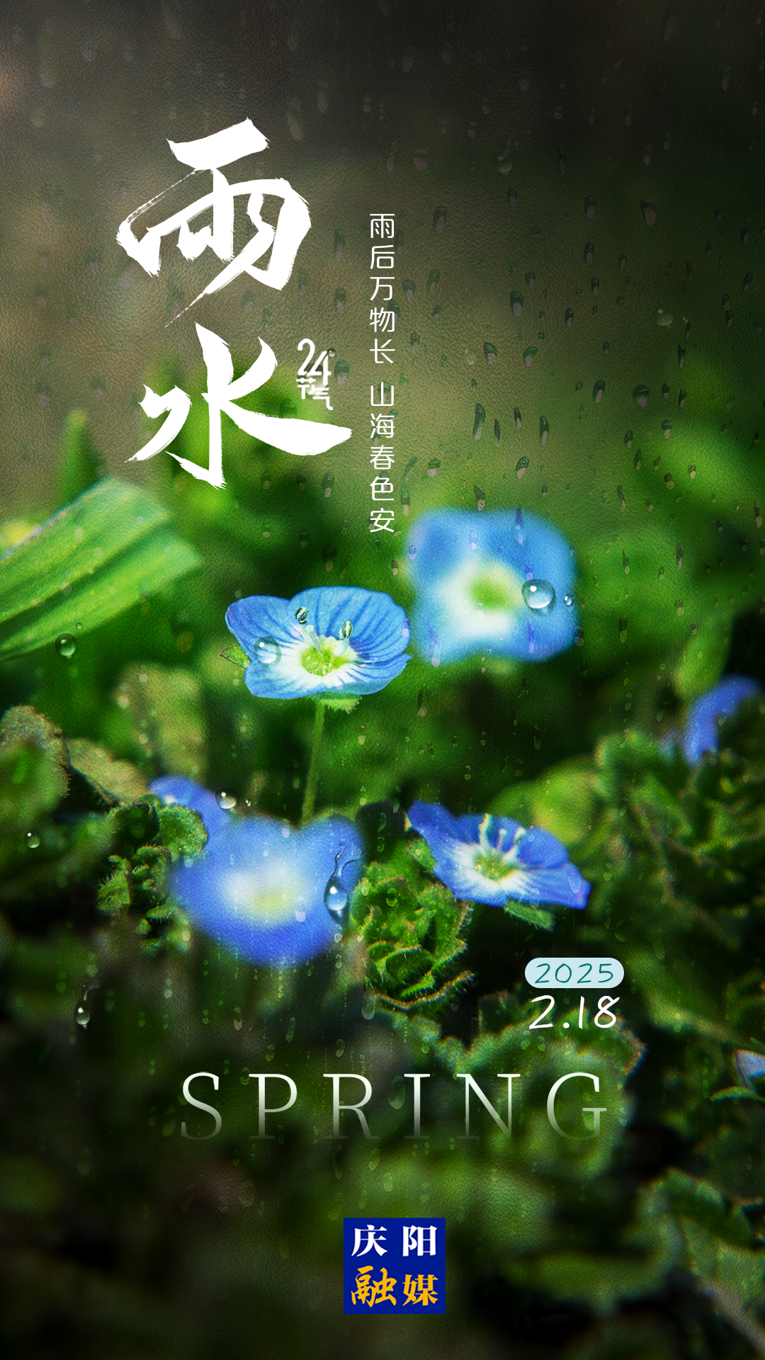 【二十四節(jié)氣·雨水】長圖 | 好雨知時節(jié) 當春乃發(fā)生