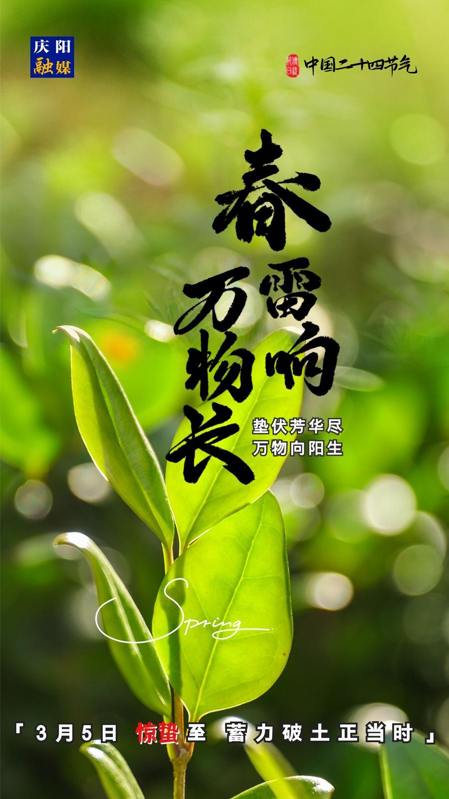 【微海報】二十四節(jié)氣丨驚蟄至，蓄力破土正當(dāng)時
