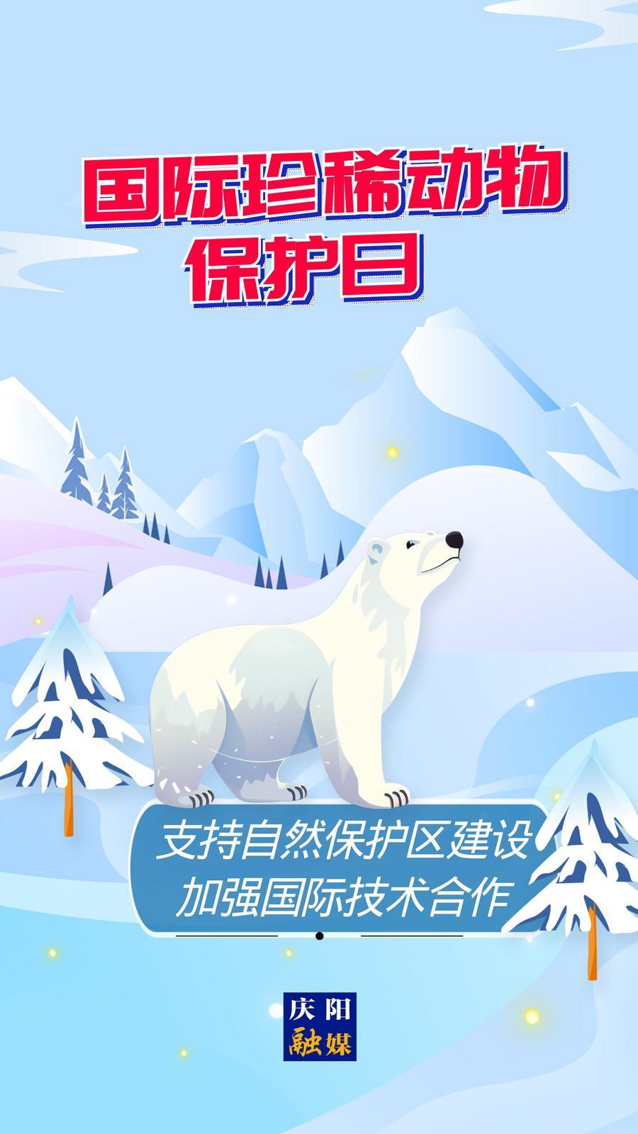 【微海報(bào)】國際珍稀動(dòng)物保護(hù)日丨支持自然保護(hù)區(qū)建設(shè) 加強(qiáng)國際技術(shù)合作