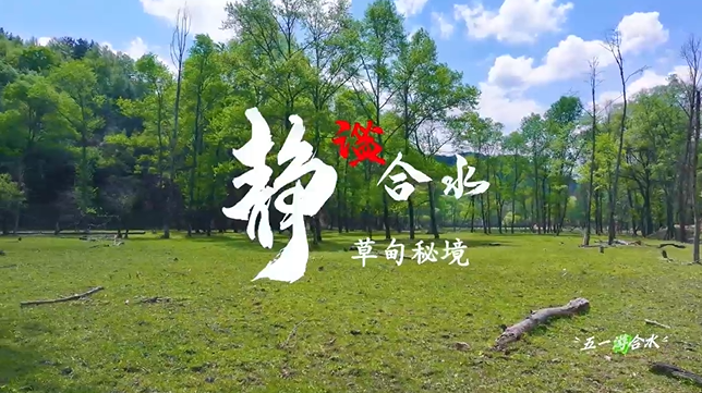 【五一游慶陽】靜謐合水︱合水縣太莪鄉(xiāng)草甸秘境等你來打卡！