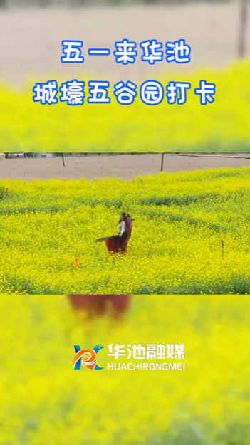 【五一游慶陽】歡迎來華池城壕五谷園打卡?。? />                                            
                                            </div>                                           
                                            </a>                                            
                                        </li>
                                         <li>                                          
                                            <a href=